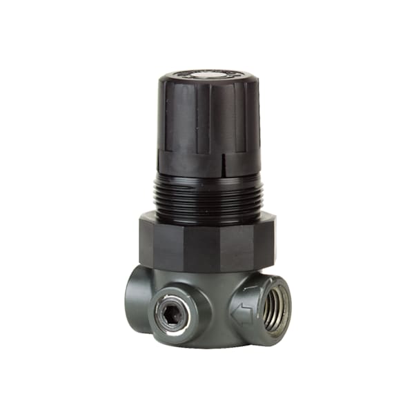 Mini Pressure Regulator, Wtr Rgltr 60PSI41Bar